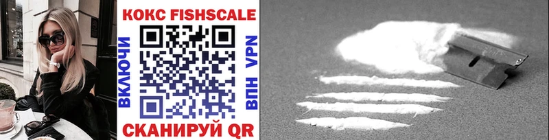 COCAIN FishScale  цены наркотик  Котельниково 