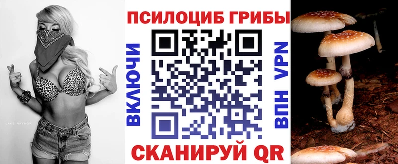Псилоцибиновые грибы мухоморы  как найти наркотики  Котельниково 