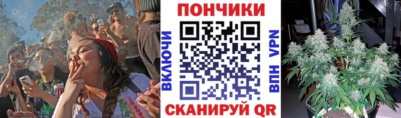 Бошки Шишки ГИДРОПОН  Котельниково 